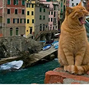 Appartamento Stella Di Rio, Riomaggiore